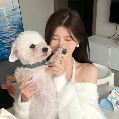 爱的着陆